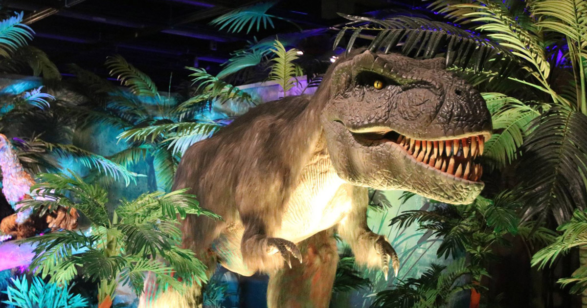 Academy of natural sciences coupons